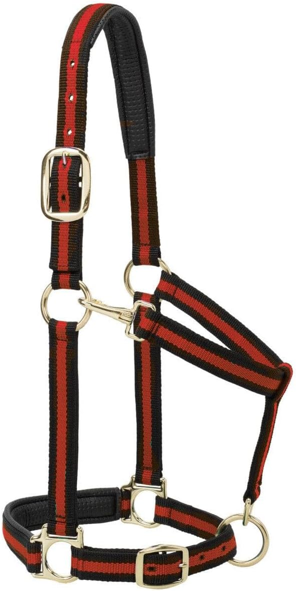 Weaver Leather Nylon Horse Halter, Padded and Adjustable, Chin and Throat Snap Hook Halters for Horses, Brass Plated Halters for Training