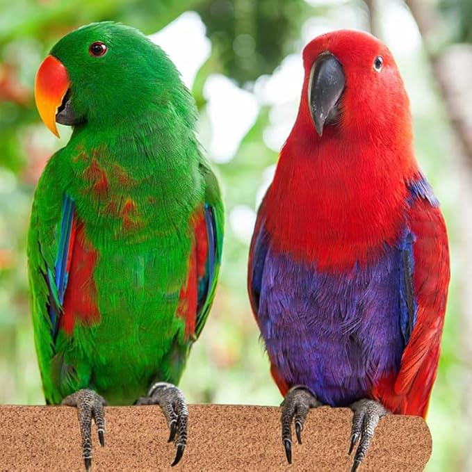 Super Bird Creations SB1153 Sure-Grip Grooming Perch Large, Medium/Large Bird Size - Enriches Beak and Foot Health - Ideal for Parrots Parakeets Quakers -Large Bird Size, 1 1/4" diam x 12" (Large)