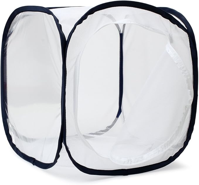 Insect and Butterfly Habitat Cage Terrarium Pop-up 12 X 12 X 12 Inches