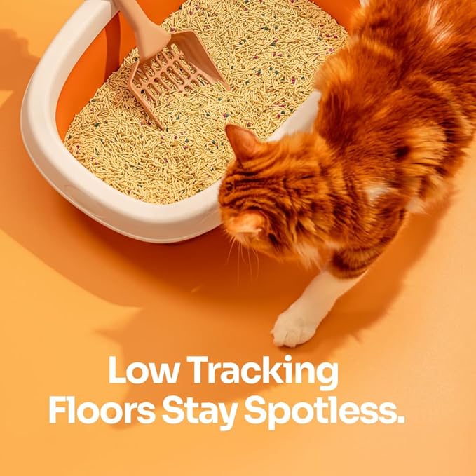 Tofu Cat Litter – Clumping, Flushable, Ultra Absorbent & Fast Drying | 100% Natural, Dust-Free, Low Tracking | Water-Soluble & Eco-Friendly (5.5 lbs x 4 Bag)