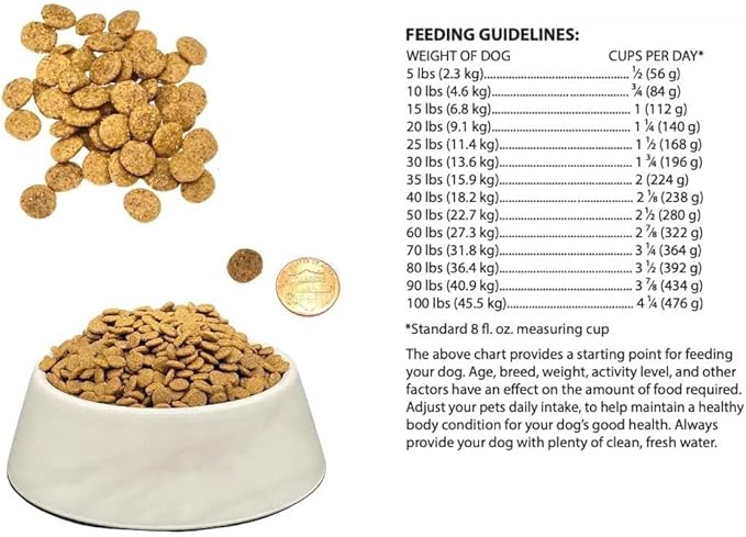 Bench & Field Holistic Natural Adult Dry Dog Food, Chicken Meal and Brown Rice Recipe 6.6 lb Bags (Pack of 4)