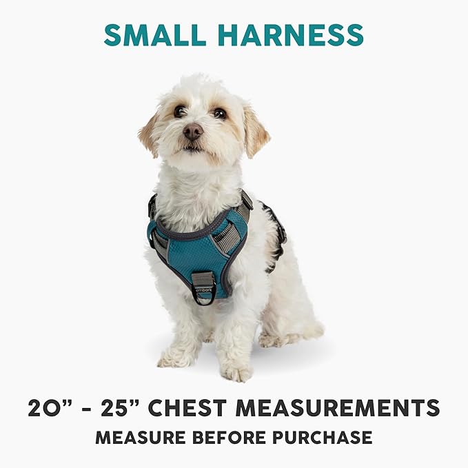 Embark Adventure Dog Harness, Easy On and Off with Front and Back Leash Attachment Points & Control Handle - No Pull Training, Size Adjustable and No Choke (Small - Teal Blue)