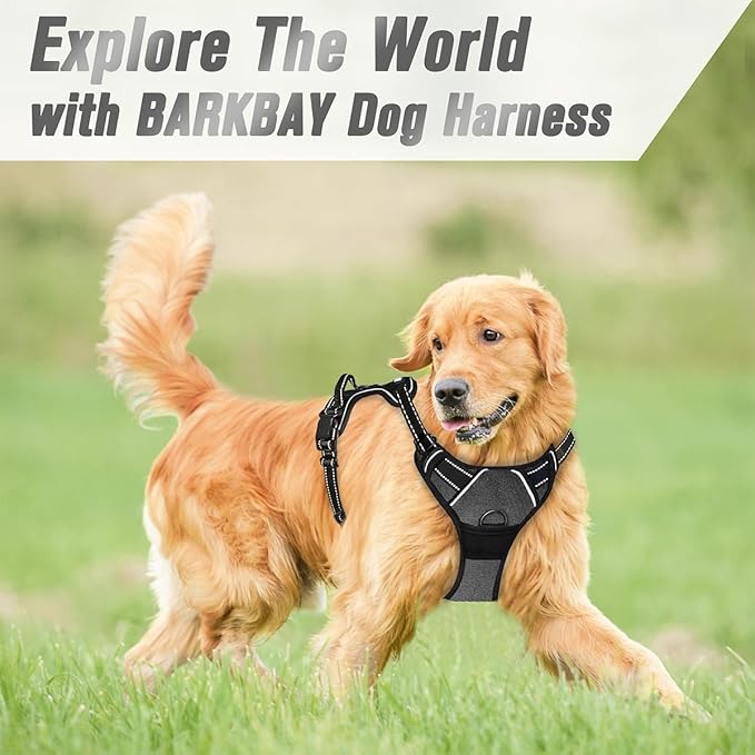 BARKBAY No Pull Dog Harness Front Clip Heavy Duty Reflective Easy Control Handle for Large Dog Walking(Dark Grey,XL)