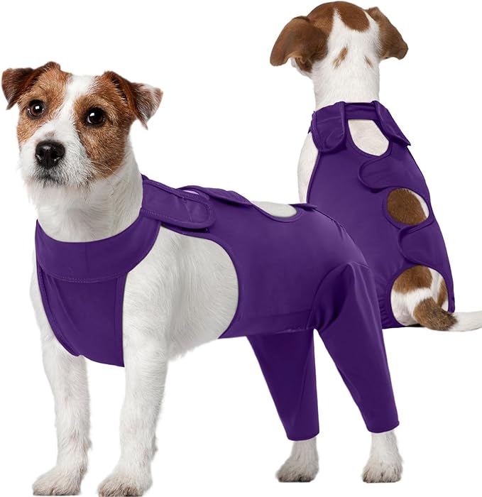 Kuoser Dog Recovery Suit for Rear Legs, Thigh Wound Protective Sleeve for Dogs, Dog Recovery Sleeve for Female Male Dogs, Dog Onesie After Surgery Pet Surgical Suit for Spay Neuter, Purple M