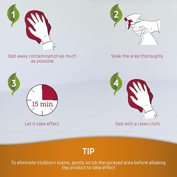 Nature's Miracle Set-In Stain Destroyer For Cat Messes, 24 Ounces, Oxy Formula With Orange Scent (Pack of 2)