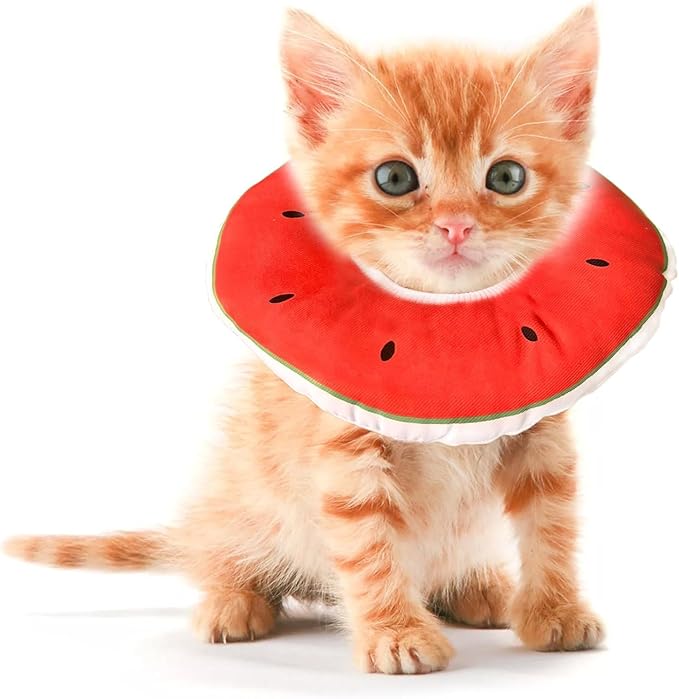 Kitten Cones After Surgery 0-6 Months, Donut Extra Small Kitten Cone Collar Soft to Stop Licking Neck, Elizabethan e Collar for Recovery, xs Small Cat Cone Spray, Pet Soft Cone for Cats