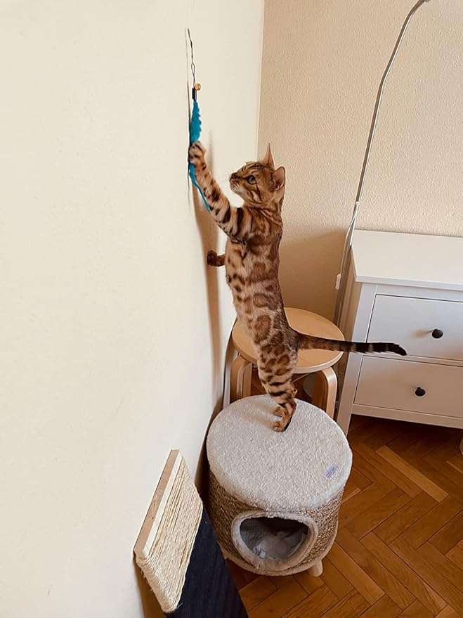 24 PCS Cat Worm Toy Refills Cat Wand Toy Replacement Interactive Wand Accessories Feather Worm Teaser Refills Attachment