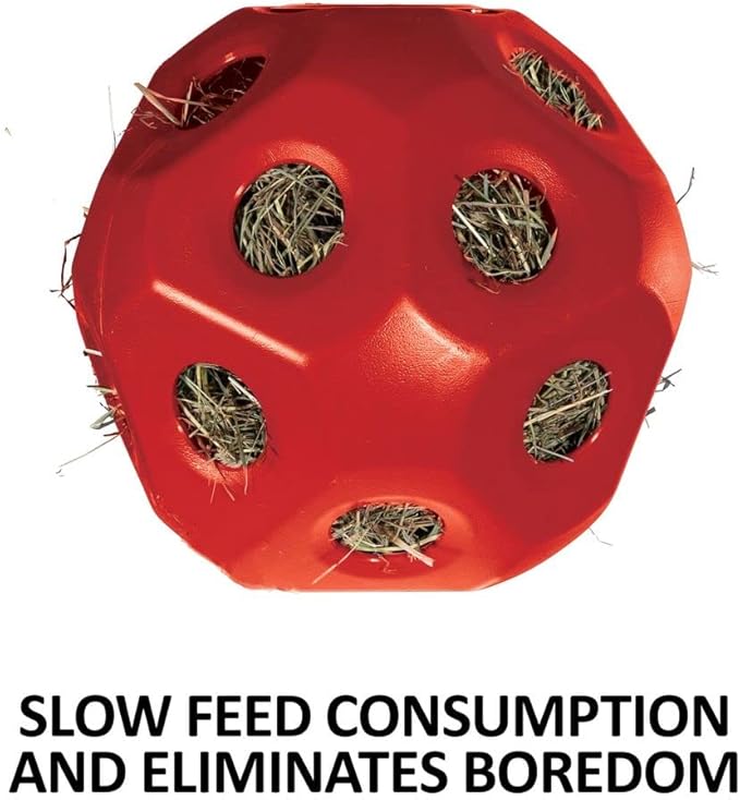 Schneiders Slow Feed Hay Ball Feeder for Horses | Color Red Horse Stable Companion | Slow Feed Consumption | Boredom Buster | Durable Polyethylene
