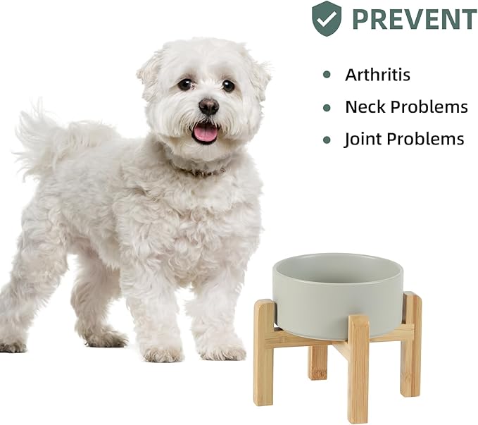 Ceramic Raised Dog and Cat Bowl Set, 2 Heights Elevated Stand, Food and Water Bowl for Small Breed Dogs, Weighted Dog Dishes, Pet Bowl(6.1'',28.7oz, Grey)