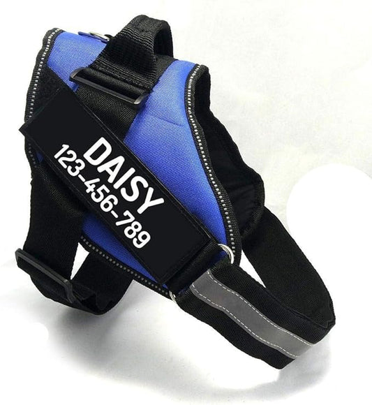 PawPawify Custom No Pull Dog Harness with Name and Phone Number, Heavy Duty Personalized Pet Vest to Prevent Tugging, Pulling, or Choking, Training and Walking (Blue, M (20-40 LBS))