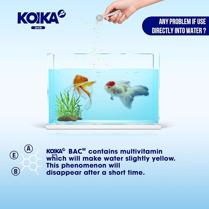 KOIKA BACM Natural Color Enhancement for Fish, Combination of Probiotic & Multi-Vitamins for Aquarium A, B6, B2, Pleasant Smell (BACM, 105ml)