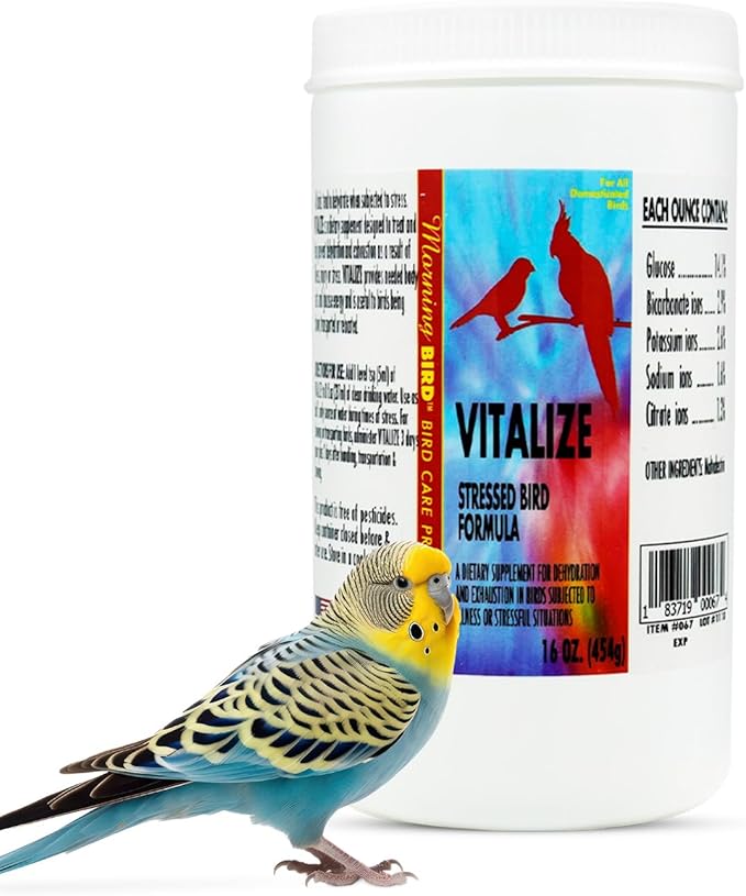 Morning Bird Vitalize, Supplement for Sick, Injured, or Stressed Caged Birds; Dehydration and Exhaustion Treatment for Parakeets, Cockatiels, Budgies, Finches, Canaries, and Parrots, 16 oz
