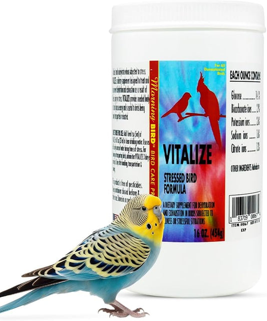 Morning Bird Vitalize, Supplement for Sick, Injured, or Stressed Caged Birds; Dehydration and Exhaustion Treatment for Parakeets, Cockatiels, Budgies, Finches, Canaries, and Parrots, 16 oz