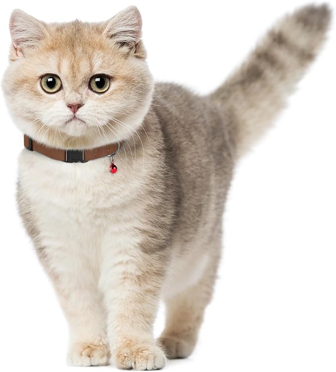 Breakaway Cat Collar Leather with Removable Bell - 13 Colors Available - Soft Adjustable Girl Boy Safety Lightweight Pet Kitten Collars Pink Brown Blue Green Red Orange Black (Cognac)