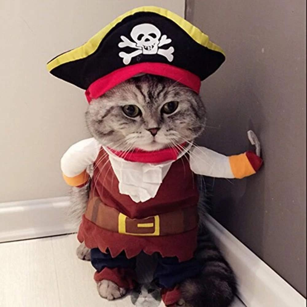 Pet Dog Costume Pirates of The Caribbean Style