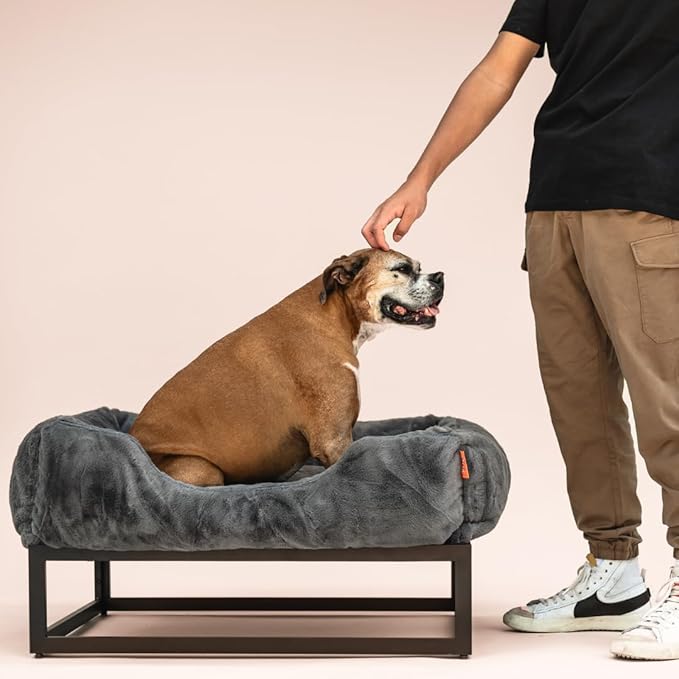 FUZI Premium Aesthetic Dog Bed for Medium Dogs with Washable Cover, Pet Couch, Pet Bed with Sides, Non-Slip Bottom, Soft and Durable Calming Dog Bed, Faux Rabbit Fur, Medium 31.75x23.6x9.5 Dark Grey