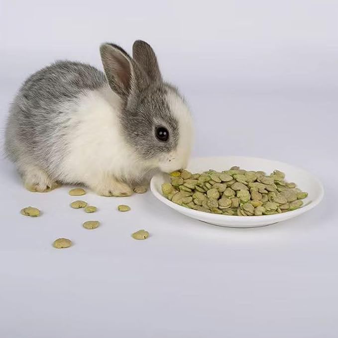 Pea Flakes for Guinea Pigs - Pet Treats, Suitable for Chinchillas, Rabbits, and Small herbivorous Animals (10 Ounce (Pack of 1))