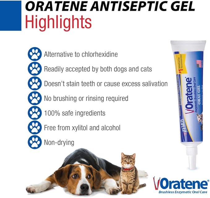 Pet King Brands ZYMOX Oratene Brushless Oral Gel for Dogs and Cats, 1oz