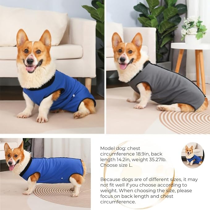 Dog Surgery Recovery Suit,Abdominal Surgical Suit for Dogs,Recovery Suit for Dogs,Prevent Licking Surgical Wound Dog Cone Alternative Grey XL