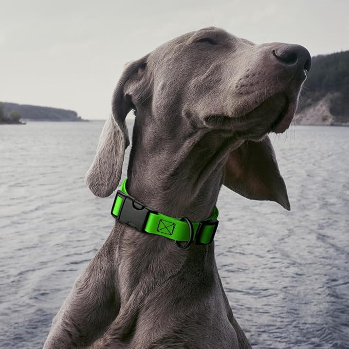 Dogline Biothane Waterproof Dog Collar with Quick Release Buckle Strong Coated Nylon Webbing with Odor- Proof for Easy Care Easy to Clean Fits Small Medium Large Dogs, Lime Green 1" W 15-25" L