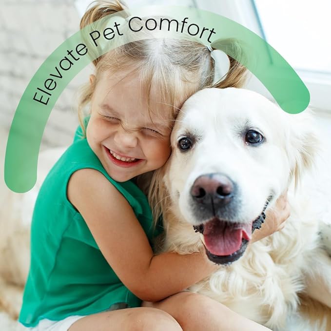 Scentament Spa Seasonal Facial & Body Wash, Berry Amaretto, 1 Gallon, Model: S55-Gallon