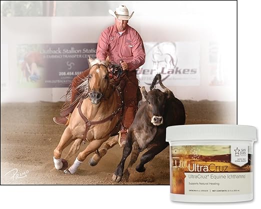 UltraCruz® Equine Ichthammol, 32 oz