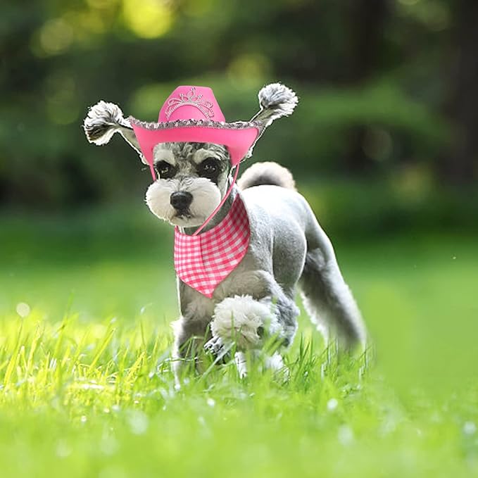 Yewong Pet Pink Cowboy Hat Costume Accessory Set Dog Cat Size Pink Cowgirl Princess Hat with Crown Tiara Bandana/Scarf for Cat Puppy Western Costume Daily Wearing Photo Props (Set B)