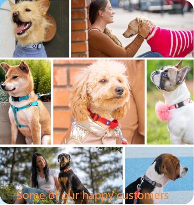 Blueberry Pet Essentials Large Flint Gray Adjustable Dog Collar for Large Dogs | Comfortable Nylon Stylish Collars for Large Dogs| Pet Safety & Quality