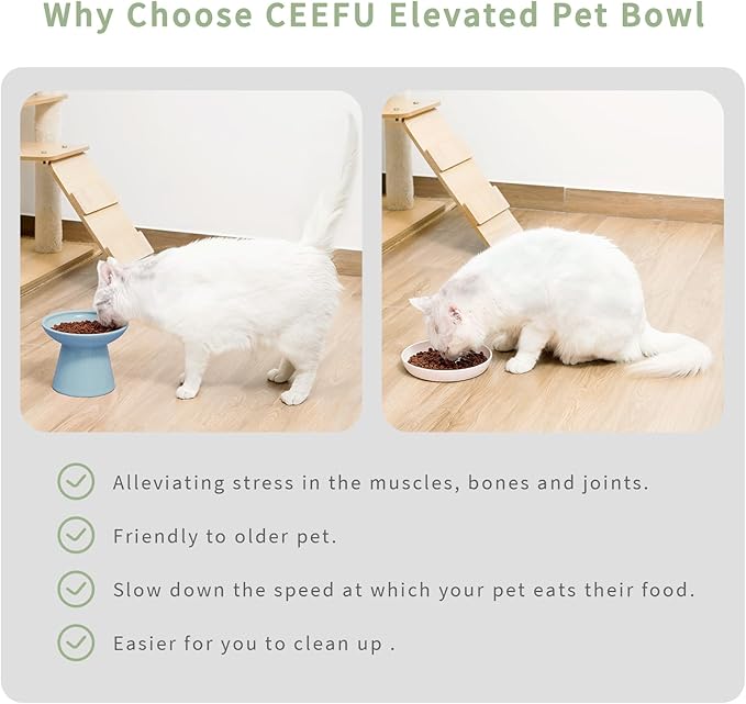 Extra Wide Elevated Ceramic Cat Bowl, 6.2" Shallow Dish for Whisker Fatigue Relief, 5" Height for Easy Feeding, Durable Raised Cat Food Bowls, Pack of 2, Blue