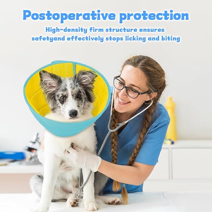 Inspack Soft Dog Cone Collar Alternative, E Cones for Small Dogs/Cat/Puppy to Stop Licking after Surgery, Comfortable All Paws Comfy Elizabethan Collars, Neuter Recovery Ecollars of Shame Alternatives