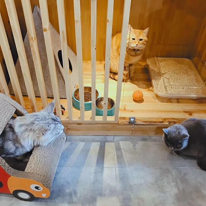 Disposable Litter Boxes for Kittens - Multi-Value (15 Pack), Kitten, Rabbit, and Senior Cat, Shallow, Small, Sanitary Must-Have 16.5 x 12.5 x 2 in.