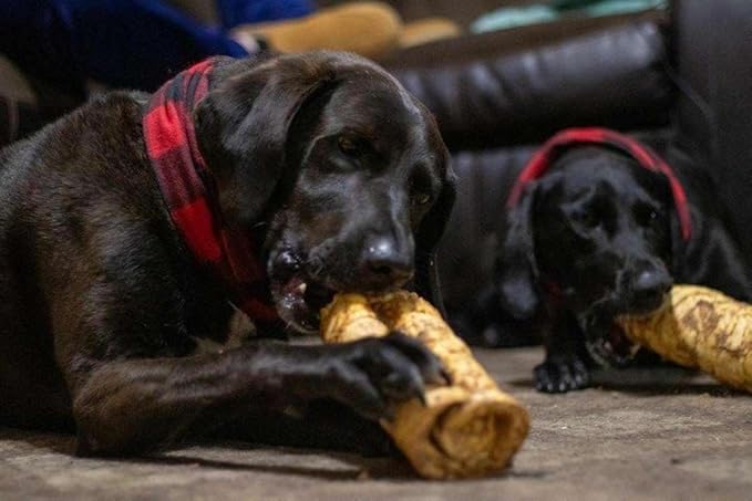 Redbarn Pet Products All-Natural Small/Medium Beef Cheek Rolls for Dogs, Chicken & Carrot Glazed - Single Ingredient Grain-Free Chew Treat Naturally Rich in Collagen - 5 Pack - Packaging May Vary