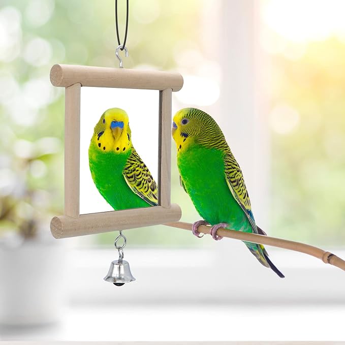 4 PCS Bird Mirror with Bell Parrot Hanging Interactive Playing Toy for Cockatiel Parakeets Canaries Budgie Cage Accessories
