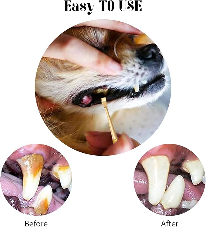 Hotop 3 Pieces Dog Dental Tooth Scaler and Scraper Stainless Double Headed Tarter Removing Tool Scraper Pet Teeth Cleaning Tools for Dog and Cat(Gold)