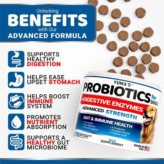 Probiotics for Dogs and Digestive Enzymes - 170 Dog Probiotics Chews - Dog Probiotic - Anti Diarrhea, Upset Stomach & Gas Relief, Canine Prebiotic - Pet Fiber Supplement - Bacon Flavor