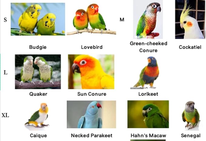 Pet Parrot Bird Harness Leash Adjustable Bird Flying Harness Traction Rope with Cute Wing for Parrots Pigeons Budgerigar Lovebird Cockatiel Mynah Outdoor Training Toy (XL, Blue)