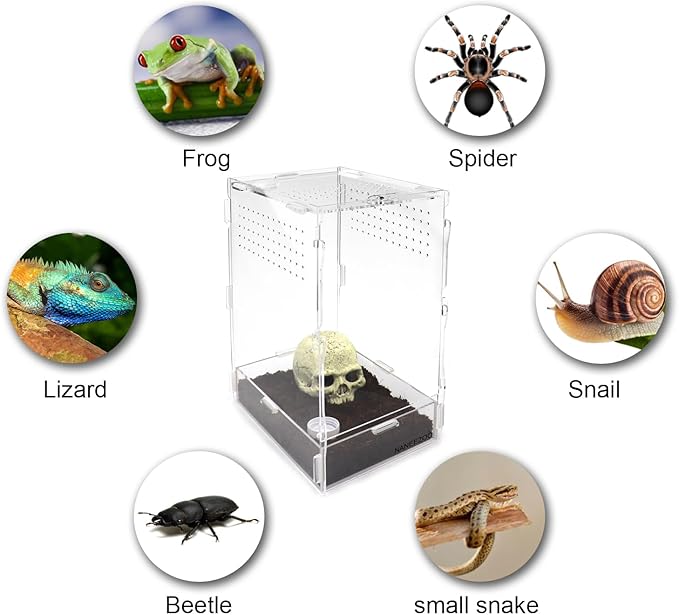 NANEEZOO Micro Habitat Terrariums with Locking Latch, 8x6x12 Inches Acrylic Reptile Tank with Water-tight Base, Arboreal Enclosure for Tarantula Jumping Spiders Small Tree Dwelling Reptiles (Arboreal)