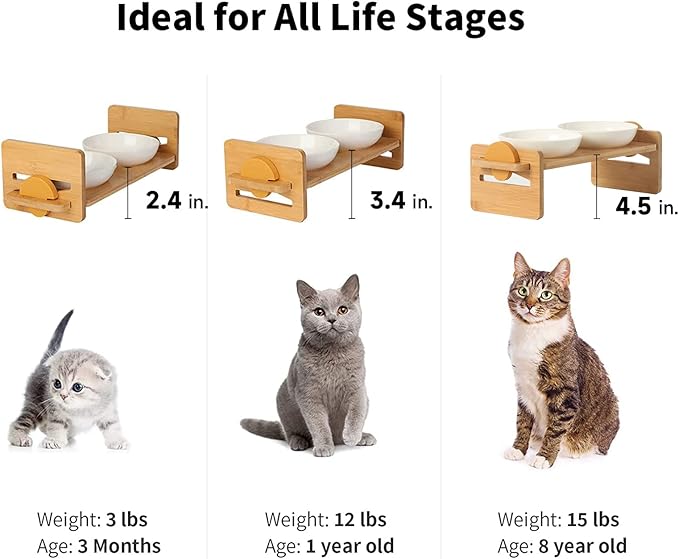 FUKUMARU Elevated Cat Ceramic Bowls, Small Dog 15° Tilted Raised Food Feeding Dishes, Solid Bamboo Water Stand Feeder Set for Cats and Puppy