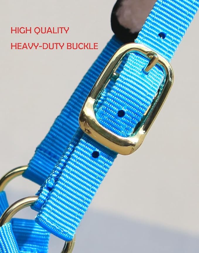 T TEKE Lunge Cavesson with Fleece Lined Nose Band and Crown