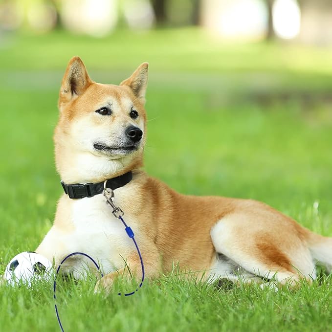 BV Dog Tie Out Cable 25 Feet - Heavy Duty Dog Lead Up to 60 Pounds - Reflective & Rust-Free with Quick Release Swivel Clips & 360° Rotating Clasp - Tangle-Free Dogs Runner for Yard (Blue, Single)