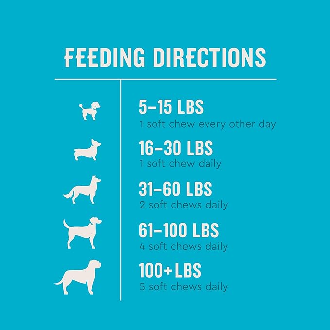 VetIQ Probiotic Supplement for Dogs, Digestive Support for Dogs, Nourishes Gut Bacteria and Supports Bowel Function, Hickory Smoke Flavor, Made in The USA, 60 Count