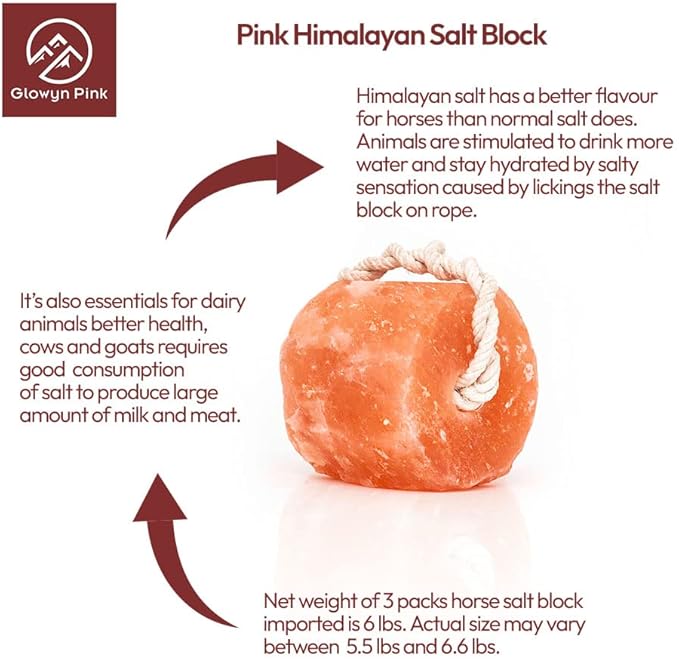 Himalayan Mineral Salt Block on Rope Pack of 4 (3lbs each) – 100% Organic Pink Salt Lick for Horses and Livestock. Deer Attractant with No Harmful Elements.