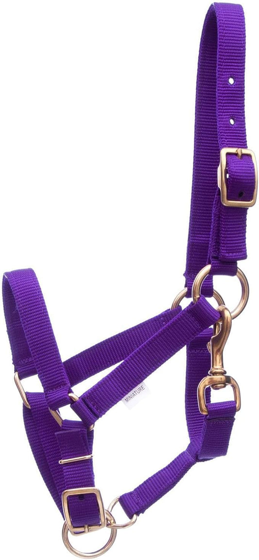 Jeffers Han Lien International 3/4" Nylon Adjustable Horse Halters