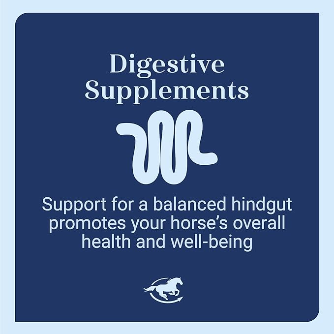 Senior Support SmartPak | Prebiotics and Probiotics | Turmeric Supplement | Flax Seed for Skin & Coat Health | Antioxidant Support for Senior Horses | 28 Days Supply