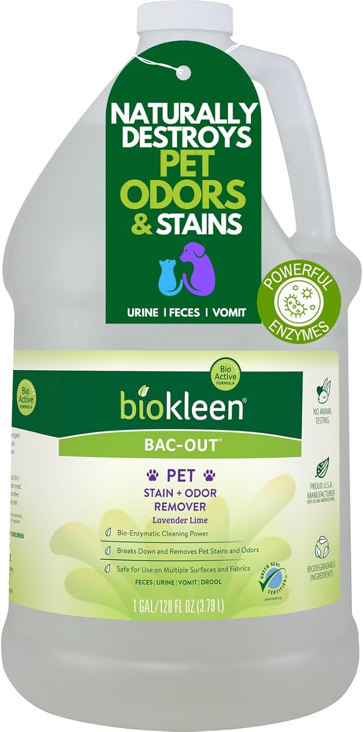 Biokleen Bac-Out Pet Urine Odor Eliminator - 32 Ounce Spray 2 Pack - Enzymatic, Natural, Destroys Stains & Odors Safely, for Pet Stains on Carpets & Furniture - Micro Towel Included