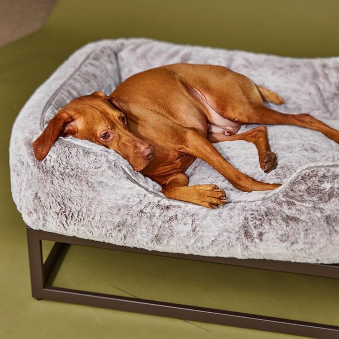 FUZI Luxury Aesthetic Dog Bed for Medium Dogs with Washable Cover, Pet Couch, Pet Bed with Sides, Non-Slip Bottom, Soft and Durable Calming Dog Bed, Faux Rabbit Fur, Medium 31.75x23.6x9.5 Light Grey