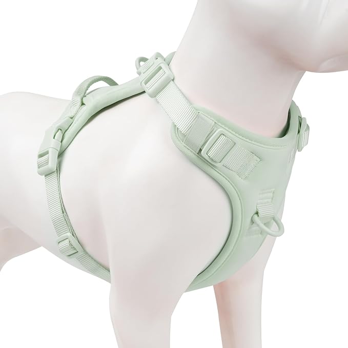 No Pull Dog Harness, Puppy Vest with Front Clip for Small Medium Large Sized Dog(Light Green,M)