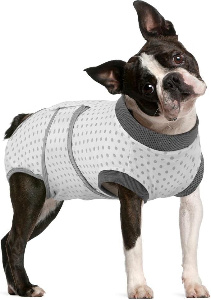 FUAMEY Dog Recovery Suit Male,Dogs Surgery Neuter Suits Puppy Spay Shirts for Female Protect Dog's Skin Anti Licking Abdominal Wounds Doggie Onesie Pet Bodysuit Alternative to Cone Polka Dot L
