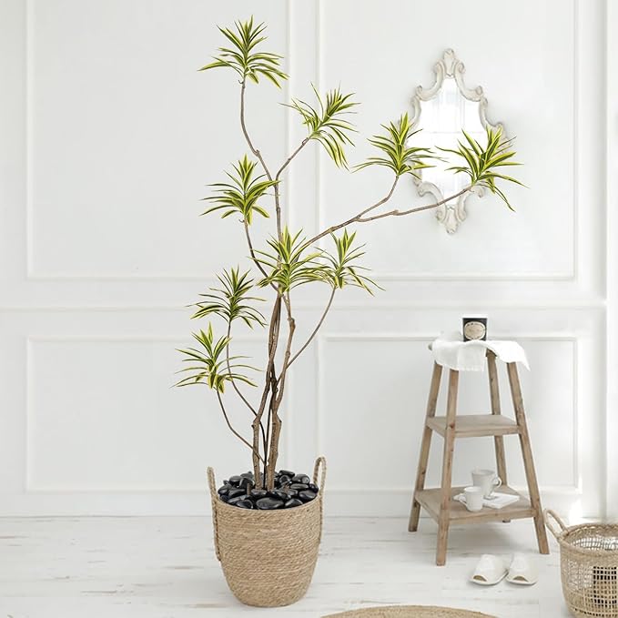 10 lbs Pebbles for Outdoor Landscaping, 1-2 inch Black River Rocks for Plants Indoor, Decorative Black Stones for Planters Vase Aquarium Rocks and Garden Rocks