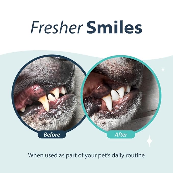 Dental Fresh Water Additive for Dogs, Original Formula, 32oz – Dog Breath Freshener and Dog Teeth Cleaning for Dog Dental Care– Add to Water